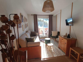 Appartement la Foux d'Allos vue sur la montagne Allos